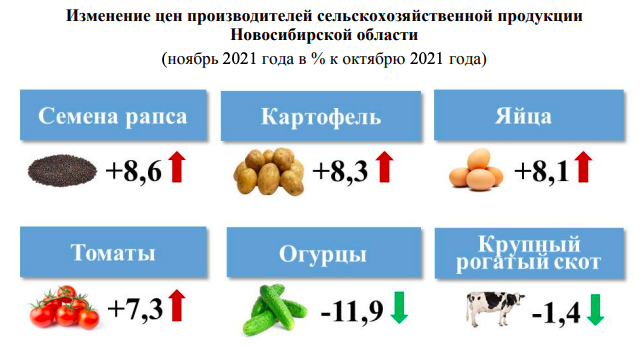 Фото В Новосибирской области на 8,3 % подорожал картофель 2